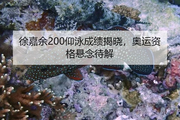 xu-jia-yu-yang-yong-cheng-ji-jie-xiao-ao-yun-zi-ge-xuan-nian-dai-jie-2-980.jpg
