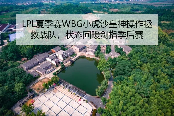 LPL夏季赛WBG小虎沙皇神操作拯救战队，状态回暖剑指季后赛