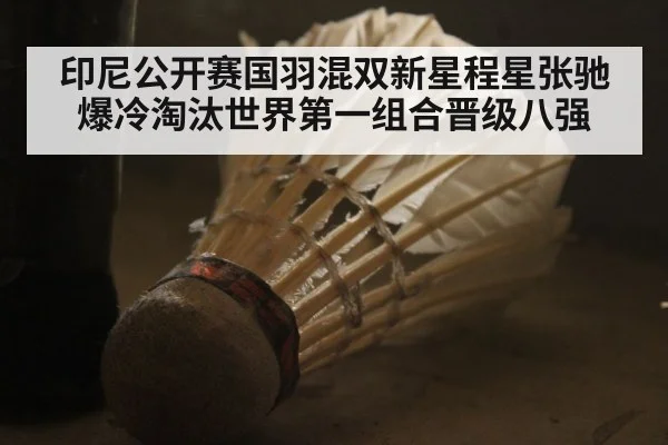 印尼公开赛国羽混双新星程星张驰爆冷淘汰世界第一组合晋级八强