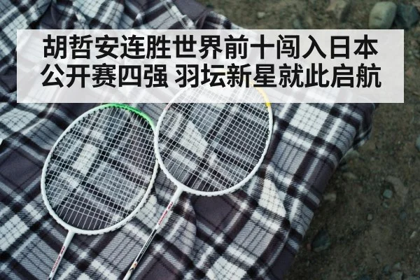 badminton racket closeup